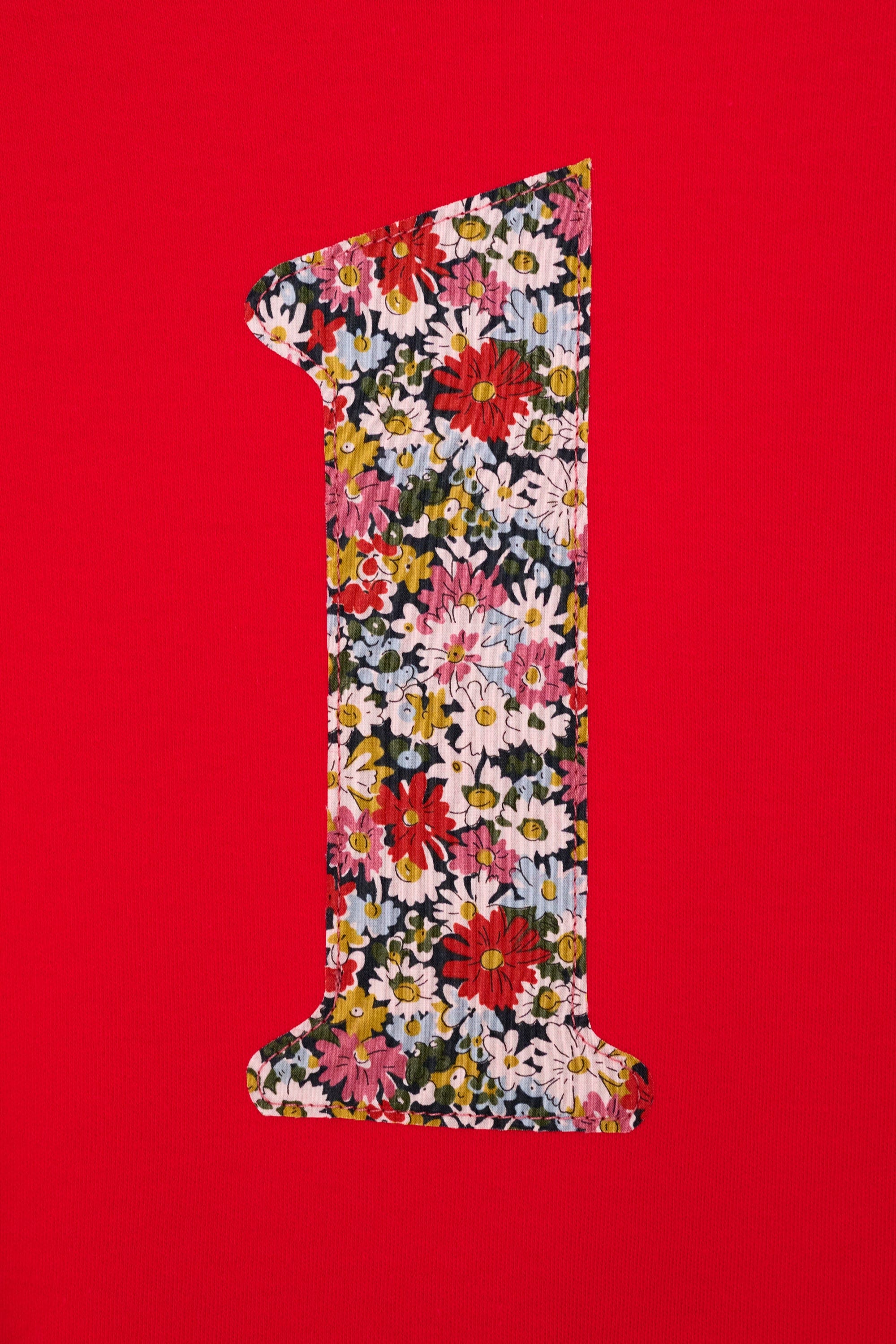 Magnificent Stanley Tee Number Red T-Shirt in Libby Liberty Print