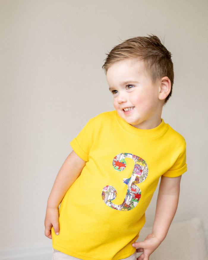 a boy wearing a birthday Number 3 Yellow cotton T-Shirt in Dinosaur Liberty Print.