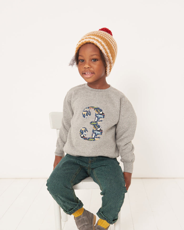 an 3 year old boy wearing a birthday grey sweatshirt with his a number 3 on in Quey zoo Liberty fabric.