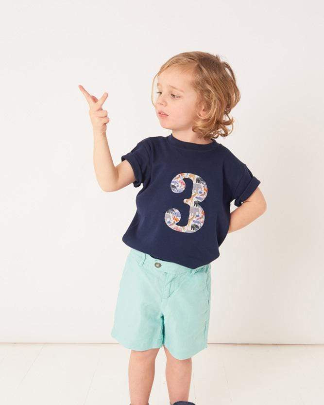A 3 year old boy wearing a Navy T-Shirt with a number 3 in Queue for the Zoo Liberty Print.