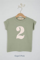 a birthday number 2 kids sage green t-shirt with a number cut from capel pink floral liberty print on the front.