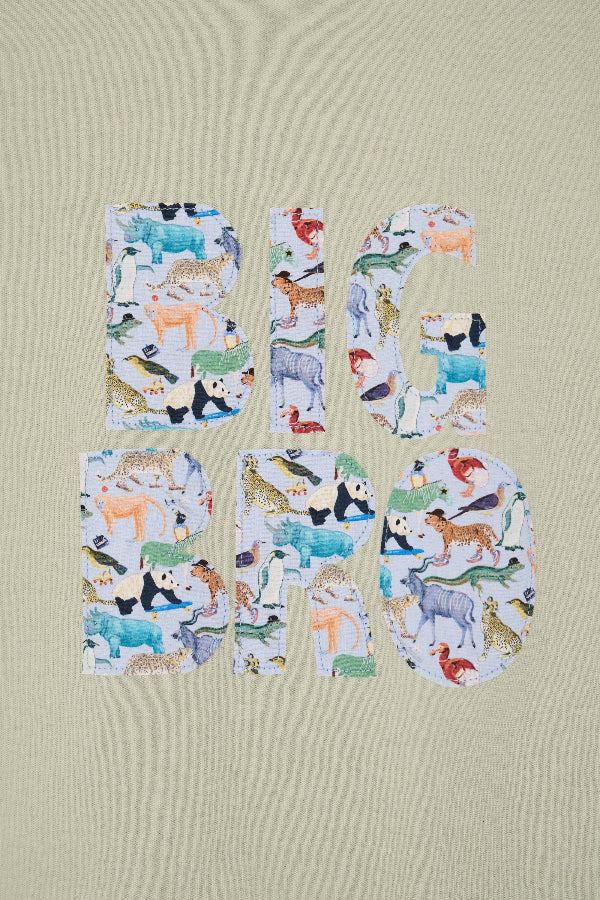  a 'Big Bro' green t-shirt with animal-themed letters on a plain background