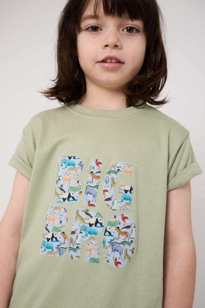 Child wearing a 'Big Bro' green t-shirt with animal-themed letters on a plain background
