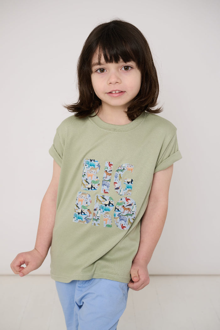 Child wearing a 'Big Bro' green t-shirt with animal-themed letters on a plain background