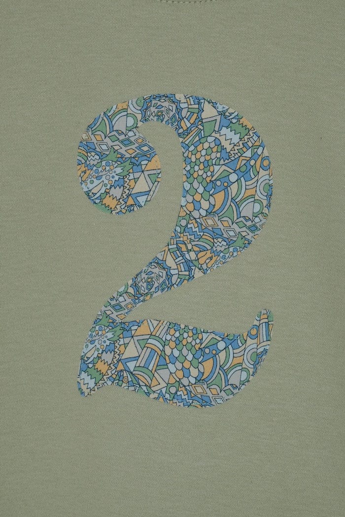 a sage green birthday t-shirt with a number 2 cut from liberty brave noah dragon  print on the front
