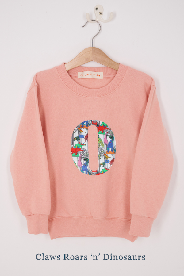Pink sweatshirt with a colorful dinosaur design on a hanger against a white background.