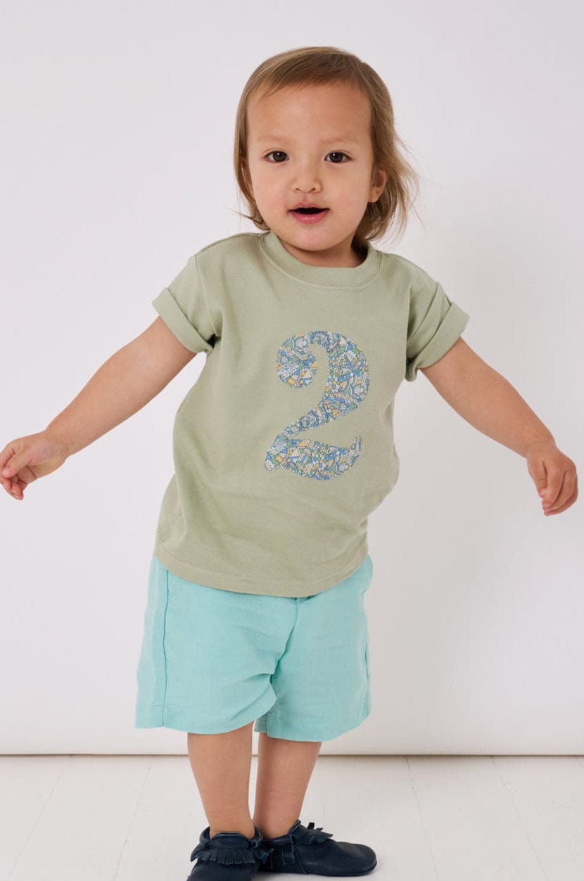 a 2 year old boy wearing a sage green birthday t-shirt with a number 2 cut from liberty brave noah dragon  print on the front