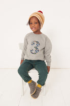 an 3 year old boy wearing a birthday grey sweatshirt with his a number 3 on in Quey zoo Liberty fabric.