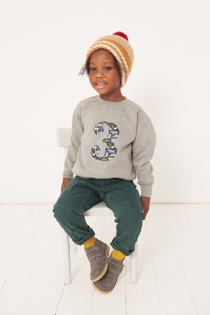an 3 year old boy wearing a birthday grey sweatshirt with his a number 3 on in Quey zoo Liberty fabric.