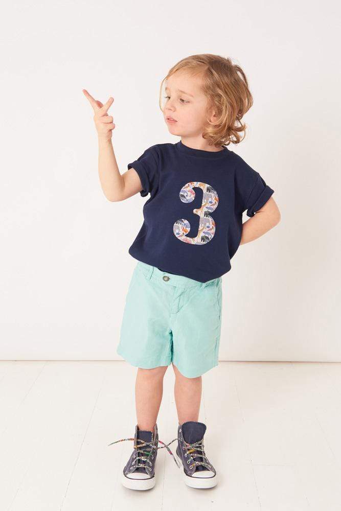 A 3 year old boy wearing a Navy T-Shirt with a number 3 in Queue for the Zoo Liberty Print.